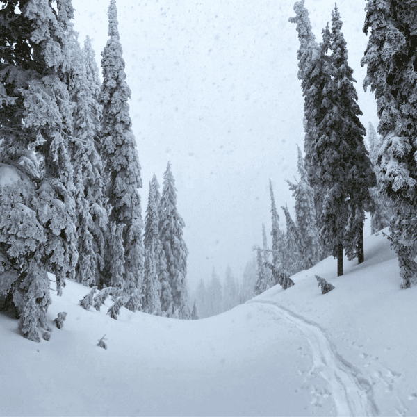 Fresh Tracks by Three Sisters Mountain Candle Co