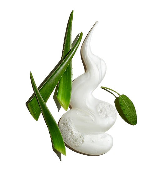 Pure Clean Daily Facial Cleanser by Jack Black