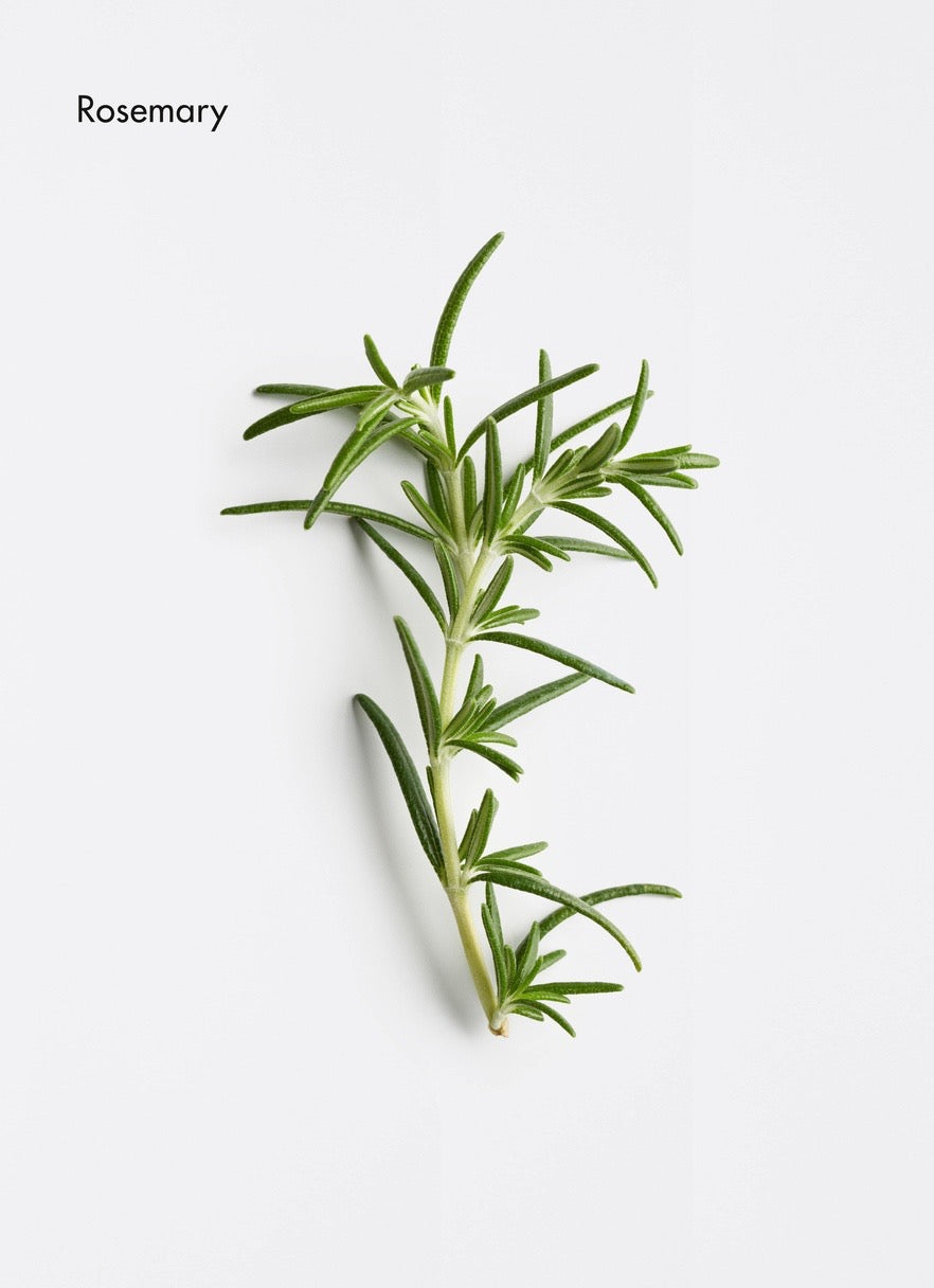 La Biosthétique Soleil After Sun Hydrating Hair Mask