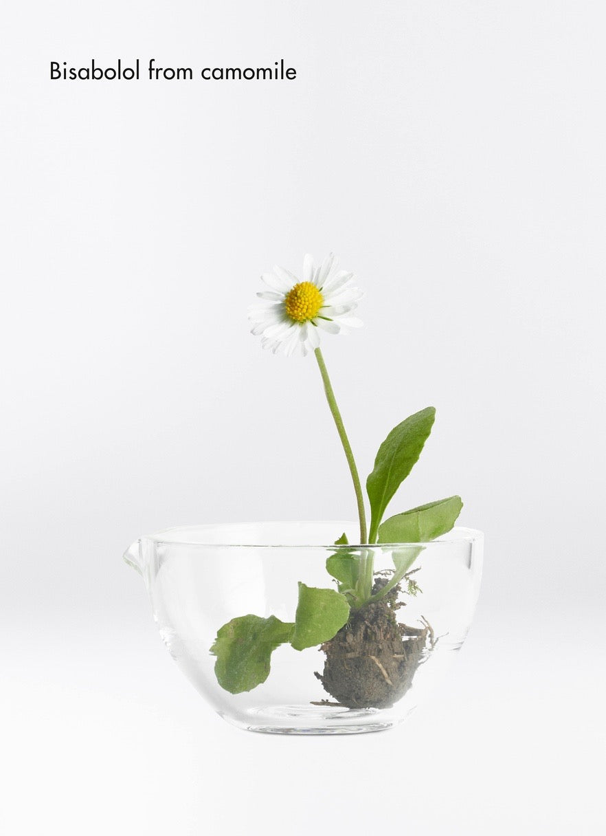 Heat Protecting Spray by  La Biosthétique