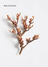 La Biosthétique Structure Repair Nourishing Mask