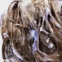 Bright Blonde Shampoo for Beautiful Color 250mL