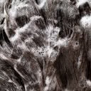 Signature Shampoo 1L
