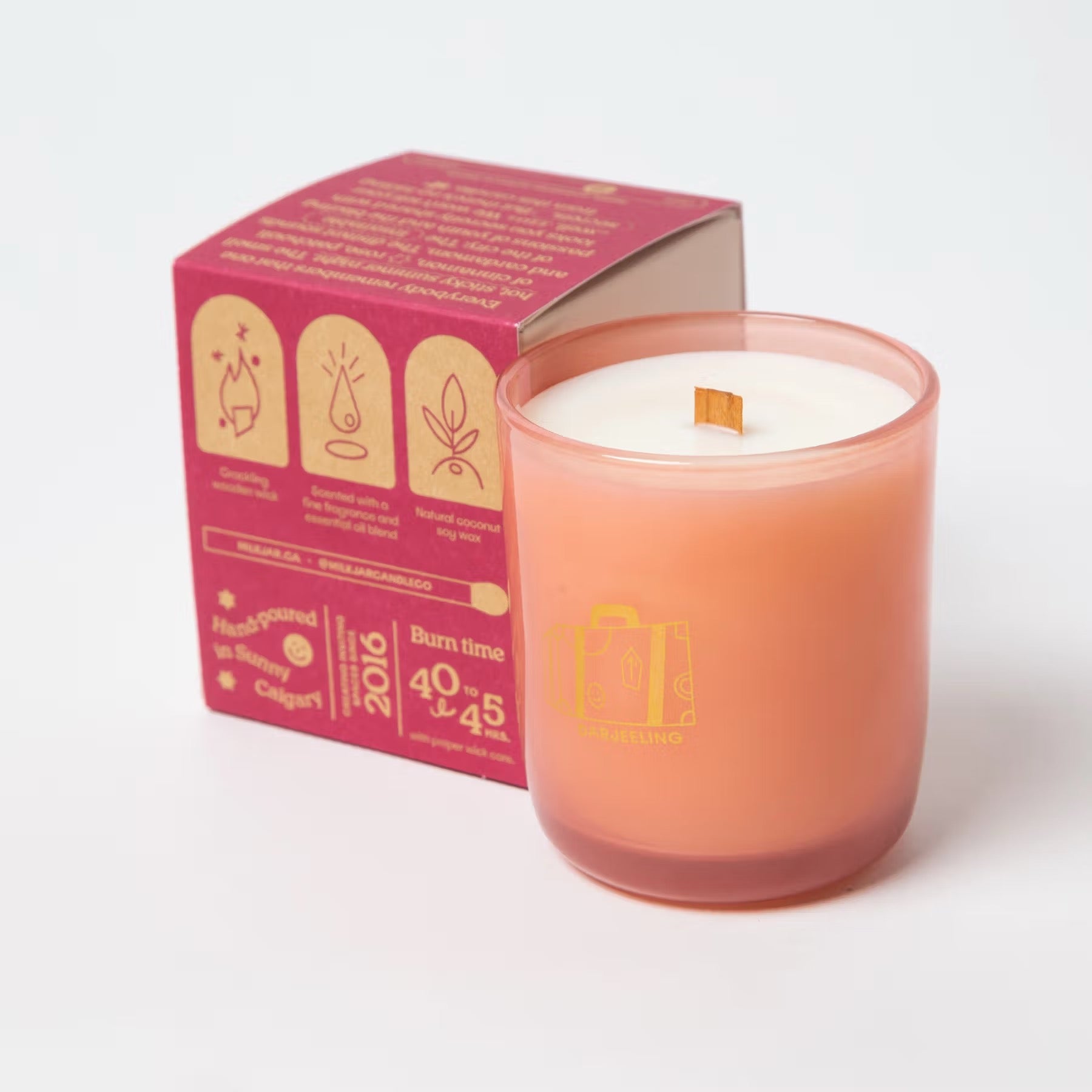 Darjeeling 8oz Candle 8oz  Milk Jar Candle Co.
