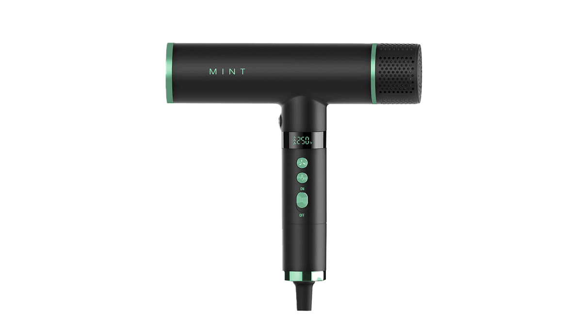 Mint Hummingbird Professional Hair Dryer