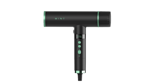 Mint Hummingbird Professional Hair Dryer